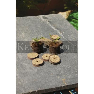TURBA dehidratált tőzegtabletta 4cm (25db/csomag)